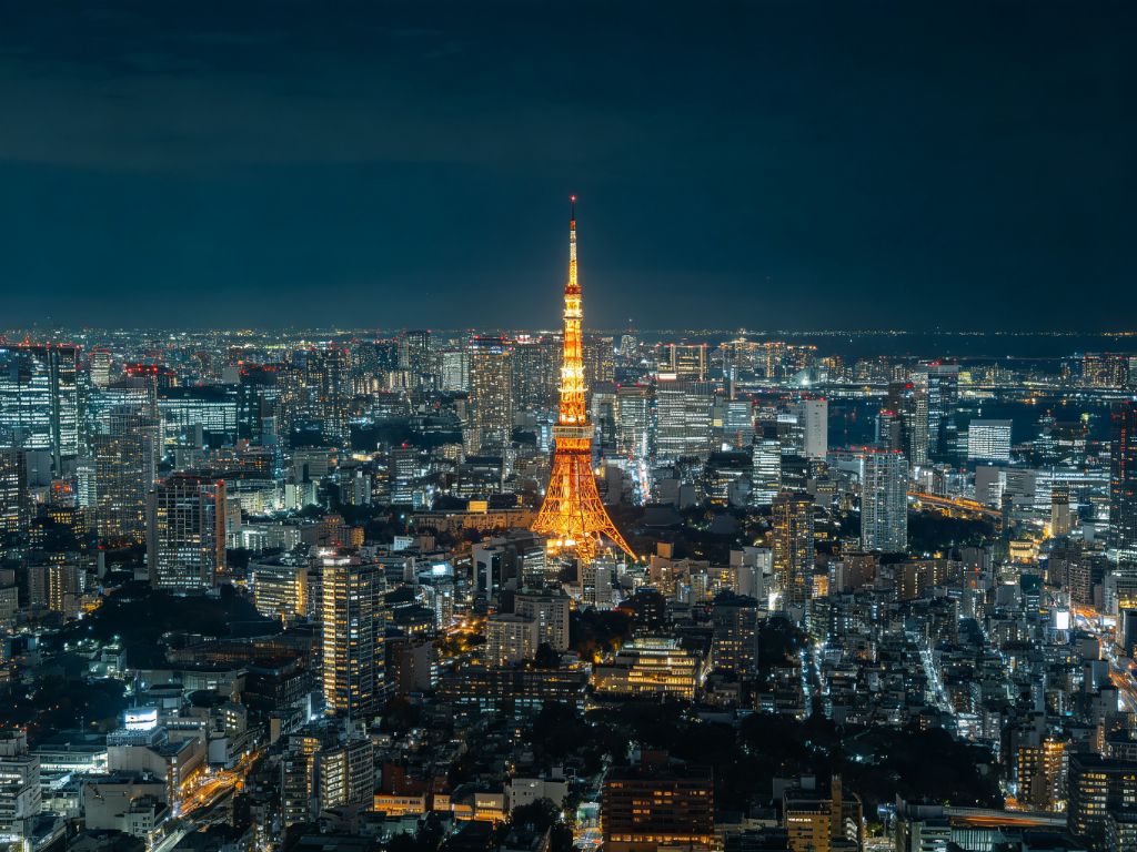 大阪城市夜景